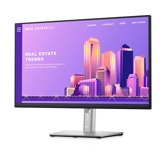 Dell 24 Monitor - P2422H